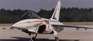 Philip Avonds Scale Jets: Rafale image